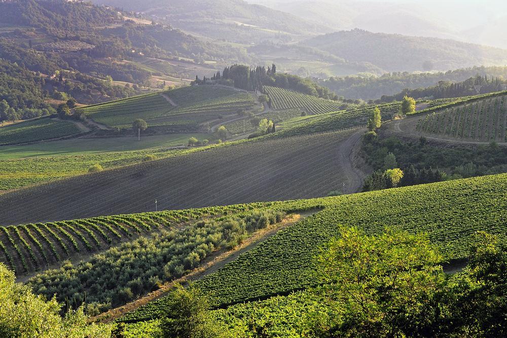 Fattoria Poggerino Acomodação com café da manhã Radda in Chianti Quarto foto